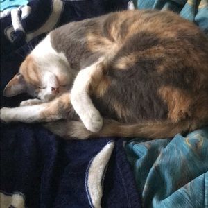 Meet your Posher, Alondra